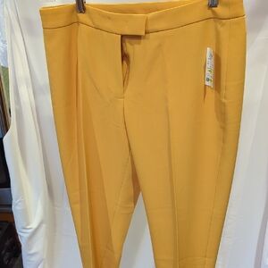 NWT Ann Klein Pants - Size 10